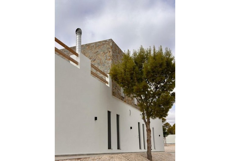 Construction Neuve - villa - Pinoso - Casas Pastor