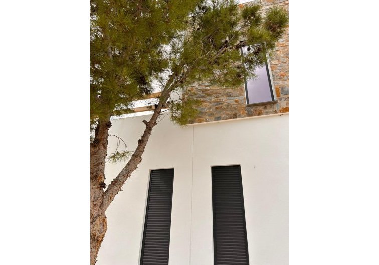 Construction Neuve - villa - Pinoso - Casas Pastor