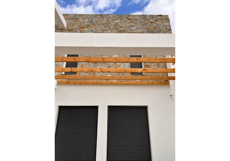 Construction Neuve - villa - Pinoso - Casas Pastor