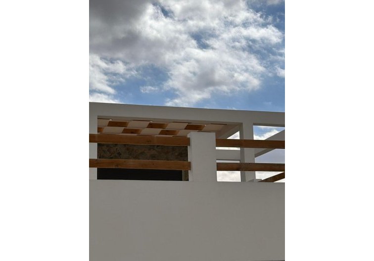 Construction Neuve - villa - Pinoso - Casas Pastor