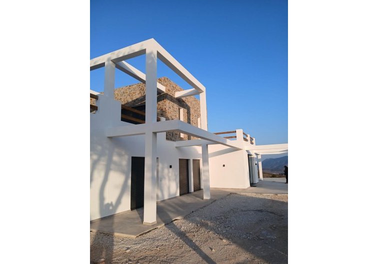 Construction Neuve - villa - Pinoso - Casas Pastor