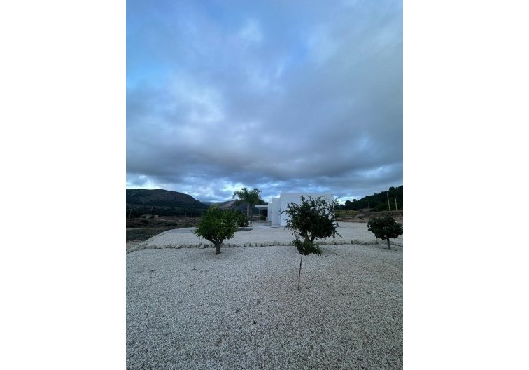 Obra Nueva - villa - Pinoso - Casas Pastor
