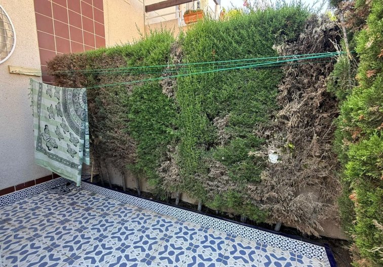 Segunda mano - Bungalow - Torrevieja - Punta Prima