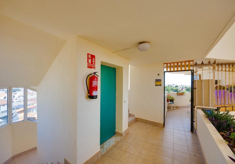 Segunda mano - Apartamento  - Torrevieja - Costa Blanca