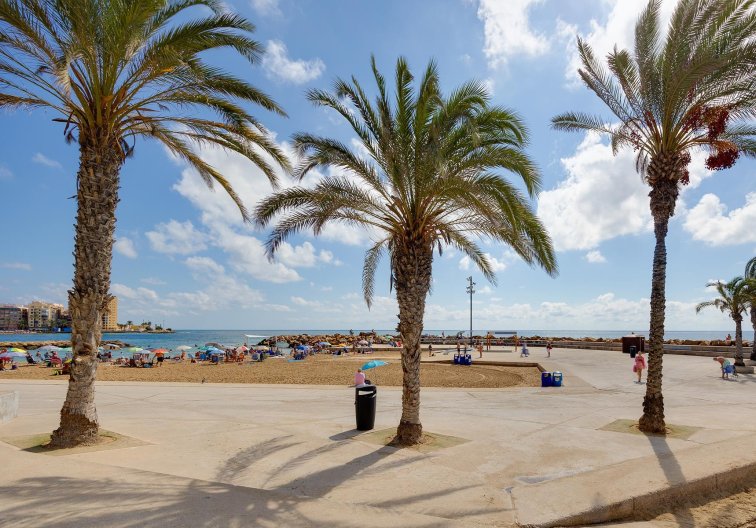 Segunda mano - Apartamento  - Torrevieja - Costa Blanca