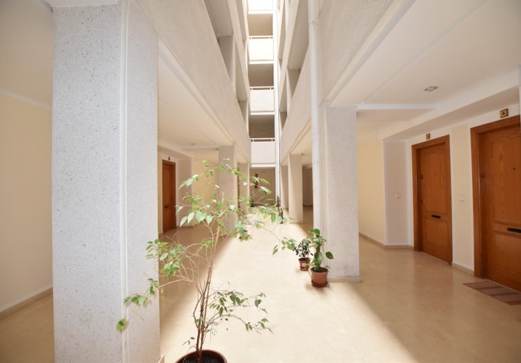 Wiederverkauf - Wohnung - La Mata - Costa Blanca