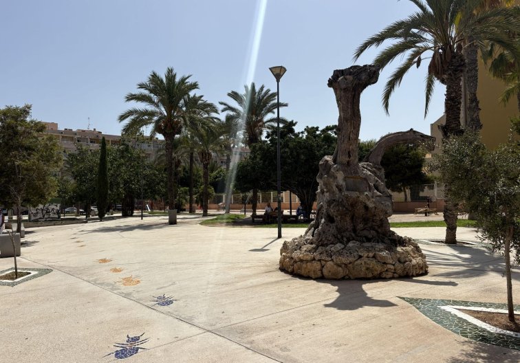 Segunda mano - Apartamento  - Torrevieja - Playa del Cura