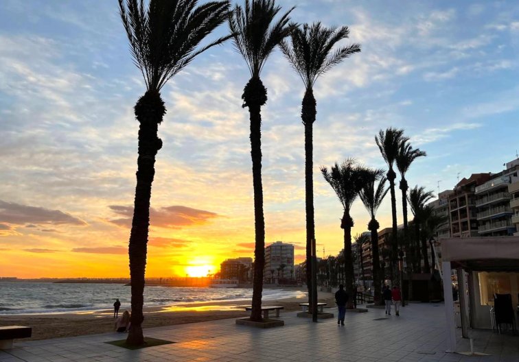 Segunda mano - Apartamento  - Torrevieja - Playa del Cura