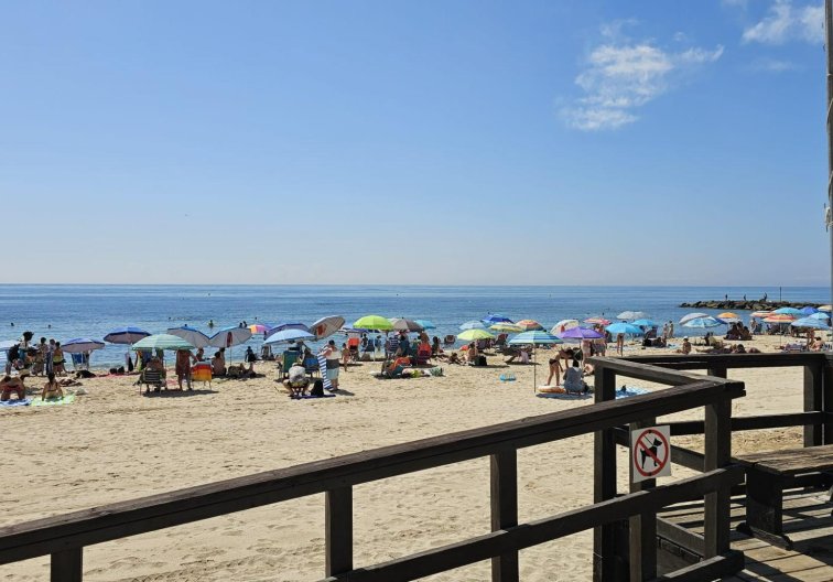 Segunda mano - Apartamento  - Torrevieja - Playa de los Locos