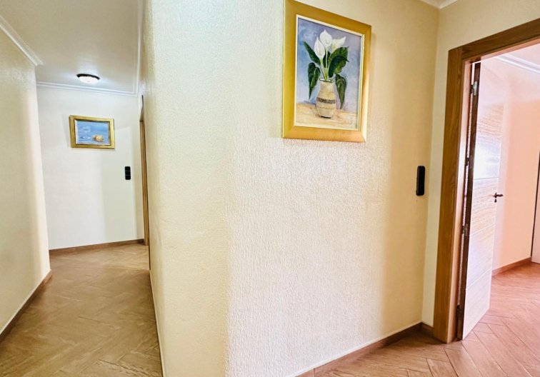 Segunda mano - Apartamento  - Torrevieja - Centro