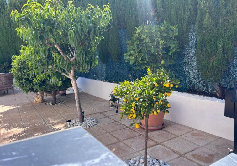 Segunda mano - Semi Detached - Torrevieja - Los Balcones 