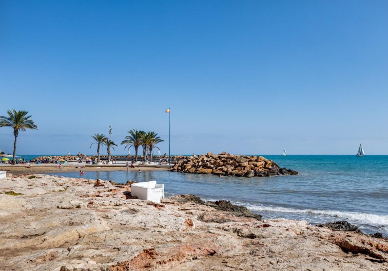 Segunda mano - Apartamento  - Torrevieja - Centro