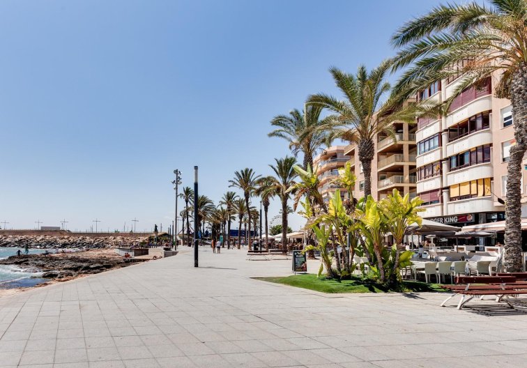 Segunda mano - Apartamento  - Torrevieja - Centro