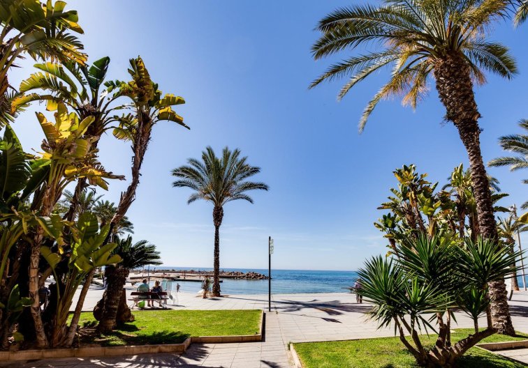 Segunda mano - Apartamento  - Torrevieja - Centro