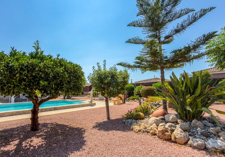 Segunda mano - villa - Catral - Costa Blanca