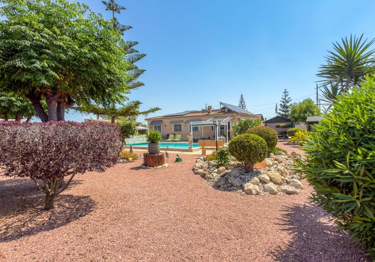 Segunda mano - villa - Catral - Costa Blanca