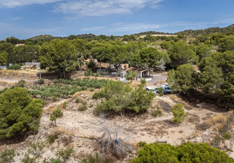 Segunda mano - villa - La Tercia Golf Resort - Inland