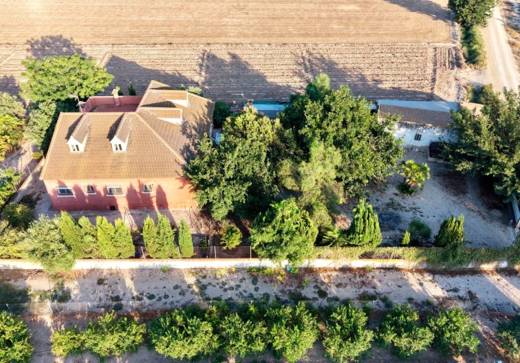Segunda mano - Finca - Catral - Costa Blanca