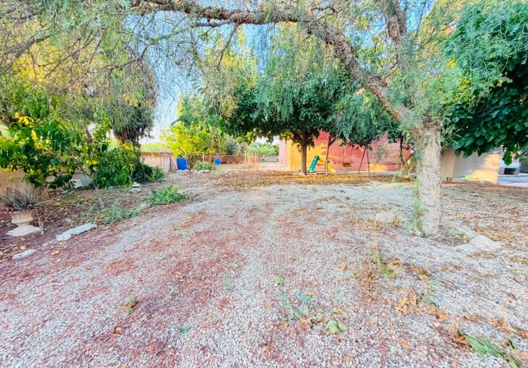 Segunda mano - Finca - Catral - Costa Blanca