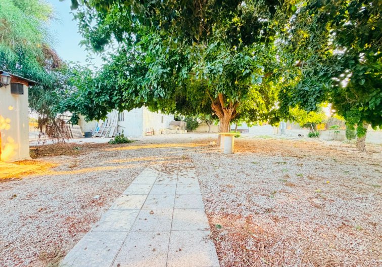 Segunda mano - Finca - Catral - Costa Blanca