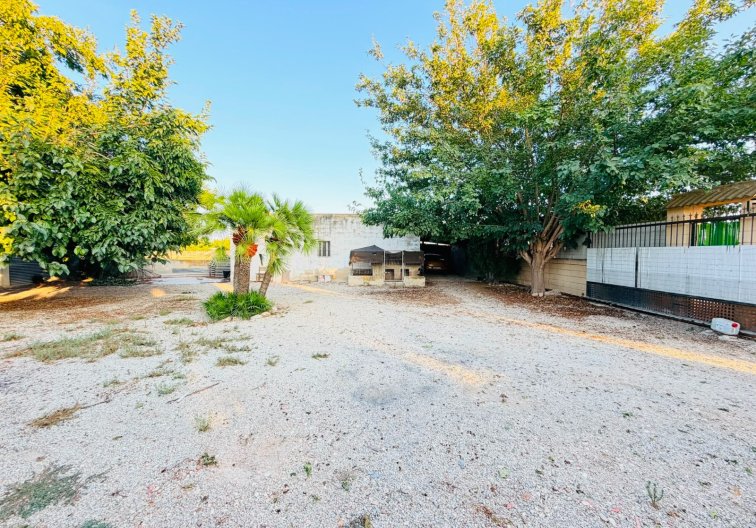 Segunda mano - Finca - Catral - Costa Blanca
