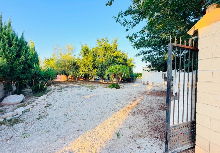 Segunda mano - Finca - Catral - Costa Blanca