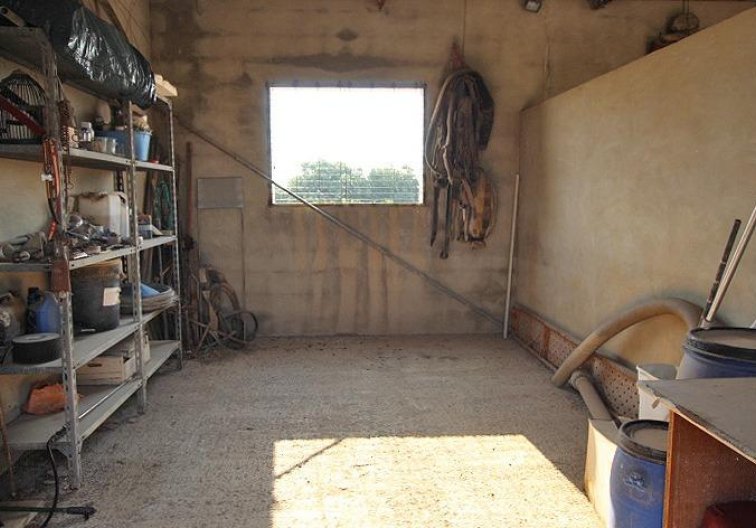 Revente - Finca - Daya Nueva - Comunidad Valenciana