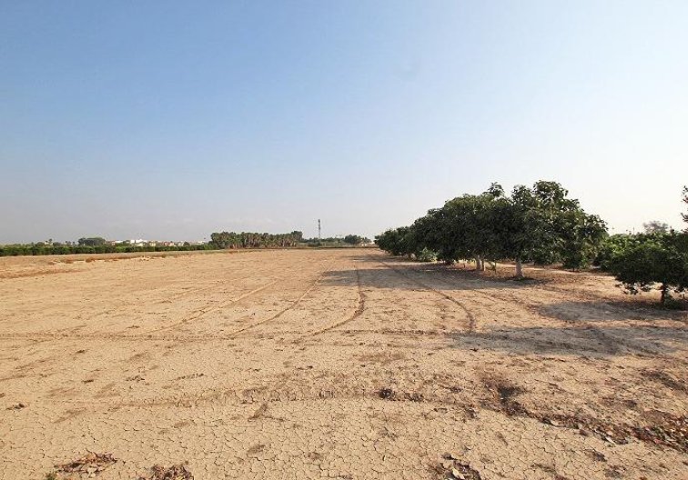 Revente - Finca - Daya Nueva - Comunidad Valenciana