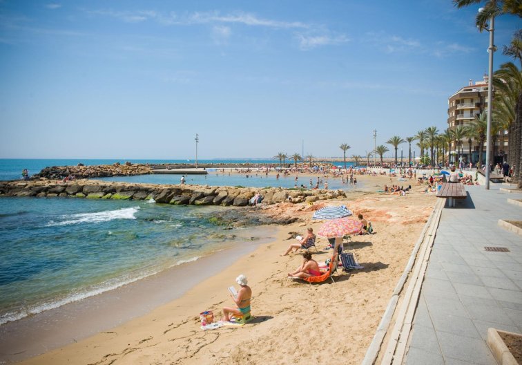 Segunda mano - Apartamento  - Torrevieja - Playa del Cura