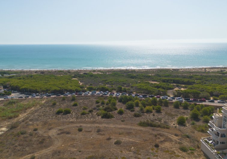 Segunda mano - Apartamento  - Guardamar del Segura - Costa Blanca