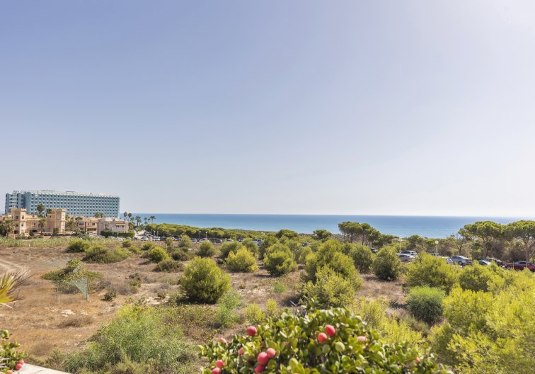 Segunda mano - Apartamento  - Guardamar del Segura - Costa Blanca