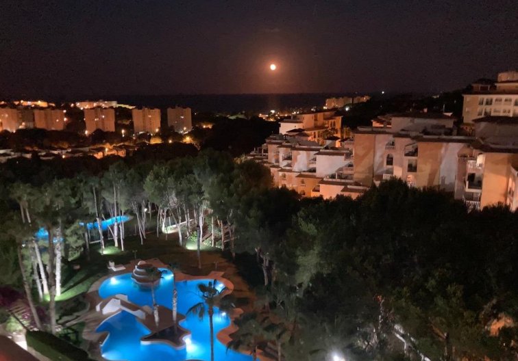 Wiederverkauf - Wohnung - Orihuela Costa - Altos De Campoamor