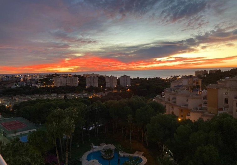 Wiederverkauf - Wohnung - Orihuela Costa - Altos De Campoamor
