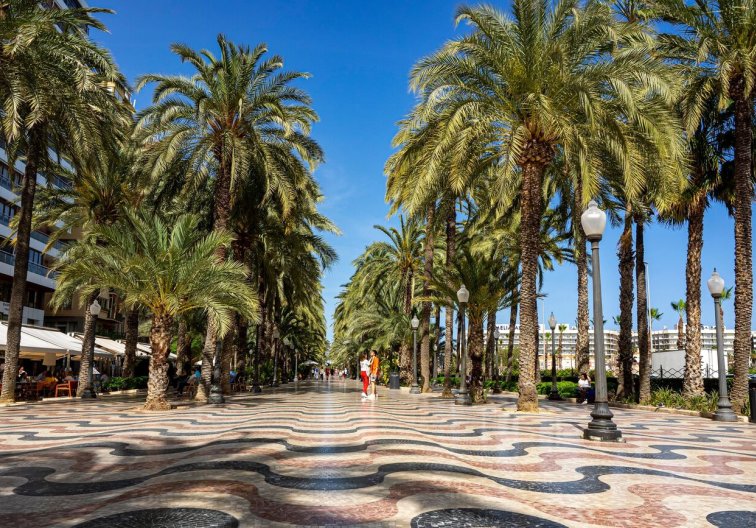 Segunda mano - Apartamento  - Alicante - Costa Blanca