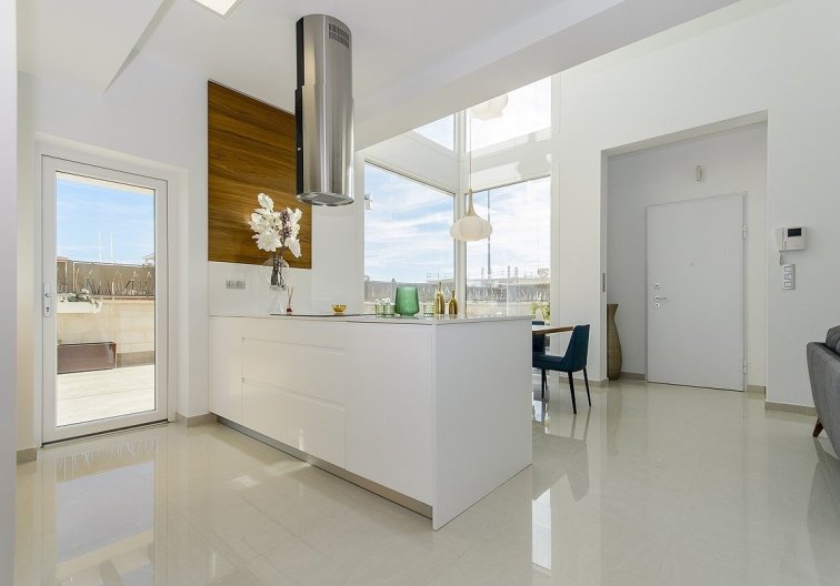 Obra Nueva - villa - Los Montesinos - La Herrada