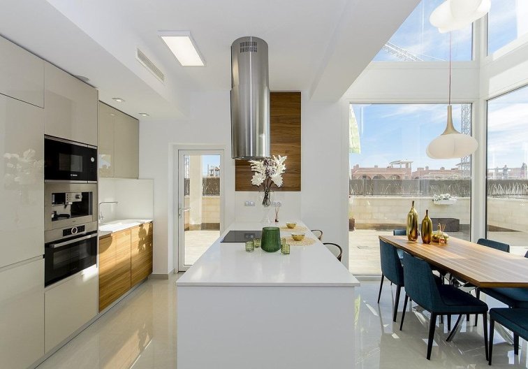 Obra Nueva - villa - Los Montesinos - La Herrada