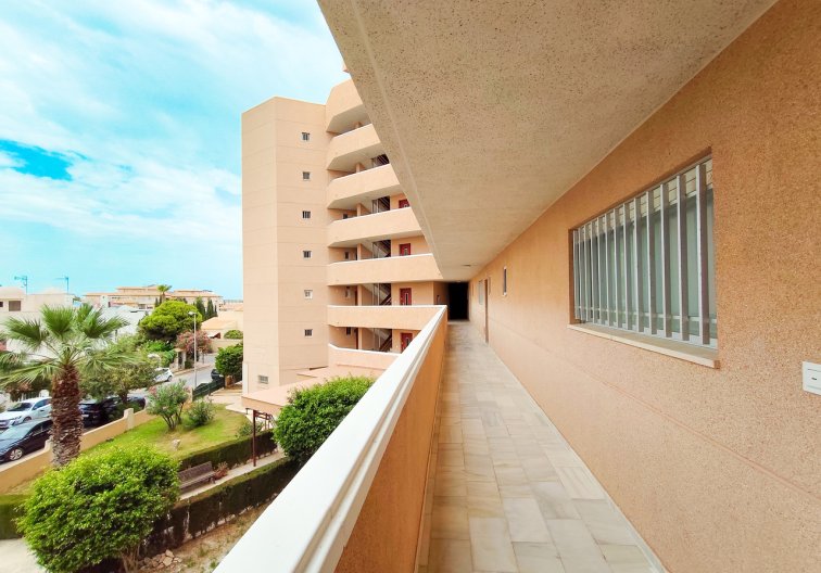 Segunda mano - Apartamento  - La Zenia - Costa Blanca