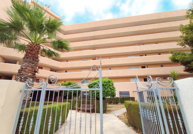 Segunda mano - Apartamento  - La Zenia - Costa Blanca