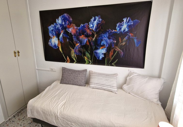 Segunda mano - Apartamento  - Torrevieja - Costa Blanca