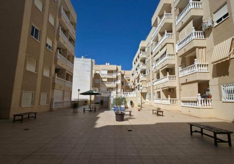 Segunda mano - Apartamento  - Torrevieja - Playa del Cura