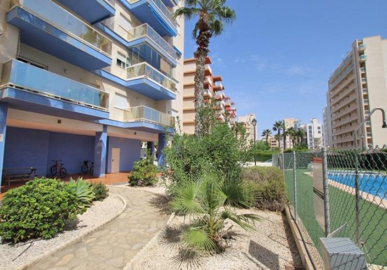 Revente - Appartement - Guardamar del Segura - Avenida del Puerto