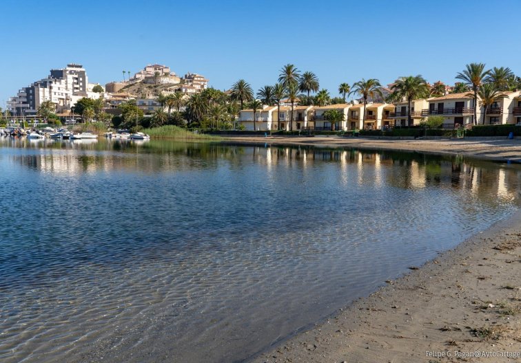 Obra Nueva - Bungalow - La Manga Club
