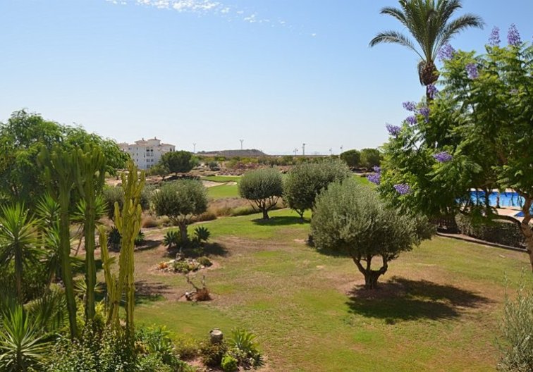 Revente - Appartement - Hacienda Riquelme Golf Resort - Inland