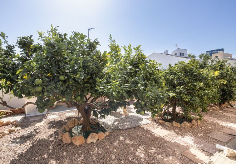 Revente - villa - La Regia - Costa Blanca