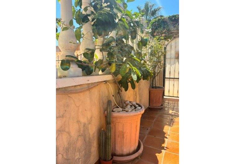 Wiederverkauf - villa - Orihuela Costa - Lomas de Cabo Roig