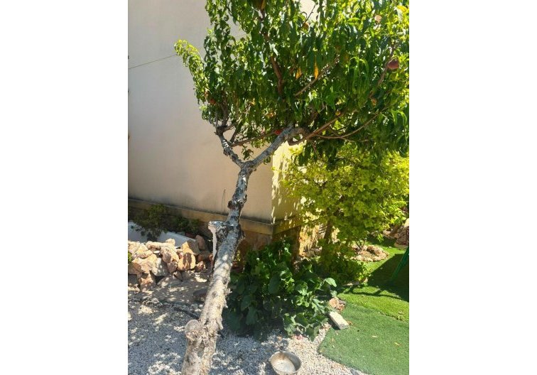 Wiederverkauf - villa - Orihuela Costa - Lomas de Cabo Roig