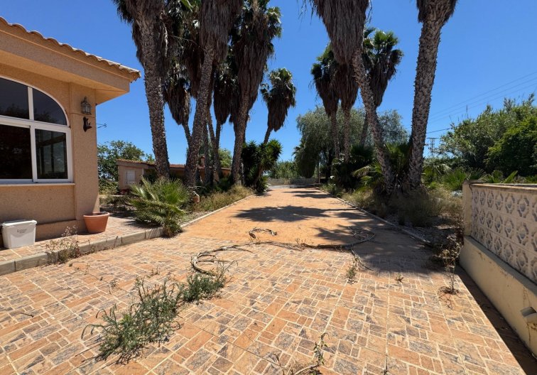 Segunda mano - Finca - Dolores - Comunidad Valenciana