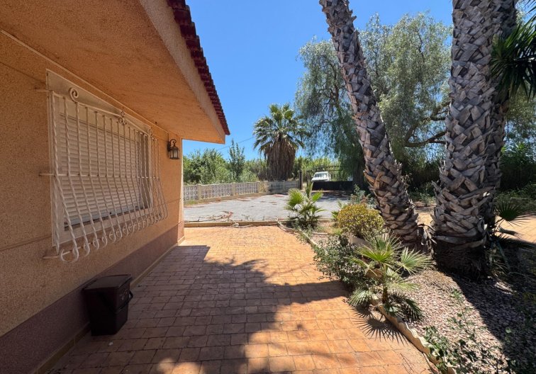 Segunda mano - Finca - Dolores - Comunidad Valenciana