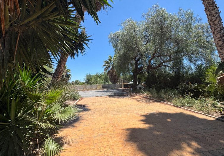 Segunda mano - Finca - Dolores - Comunidad Valenciana