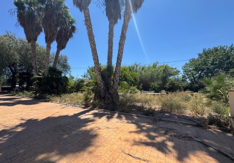 Segunda mano - Finca - Dolores - Comunidad Valenciana